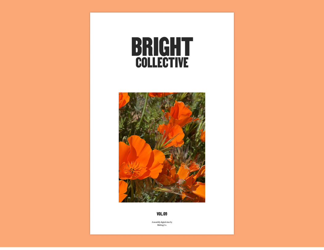 BRIGHT Collective Vol. 09